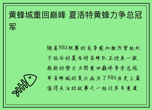 黄蜂城重回巅峰 夏洛特黄蜂力争总冠军